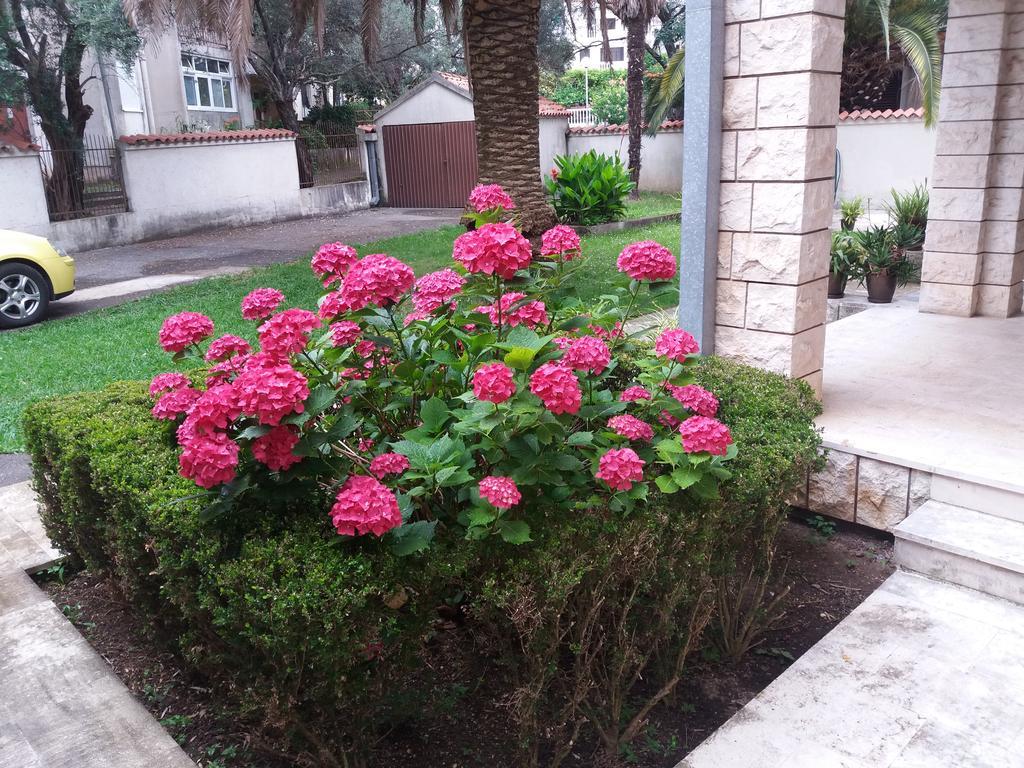 Bravo Apartmani بودفا المظهر الخارجي الصورة